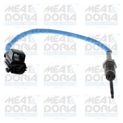 Sensor, exhaust gas temperature